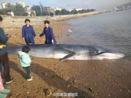 饥渴少妇性Xxxx中国Hd饥