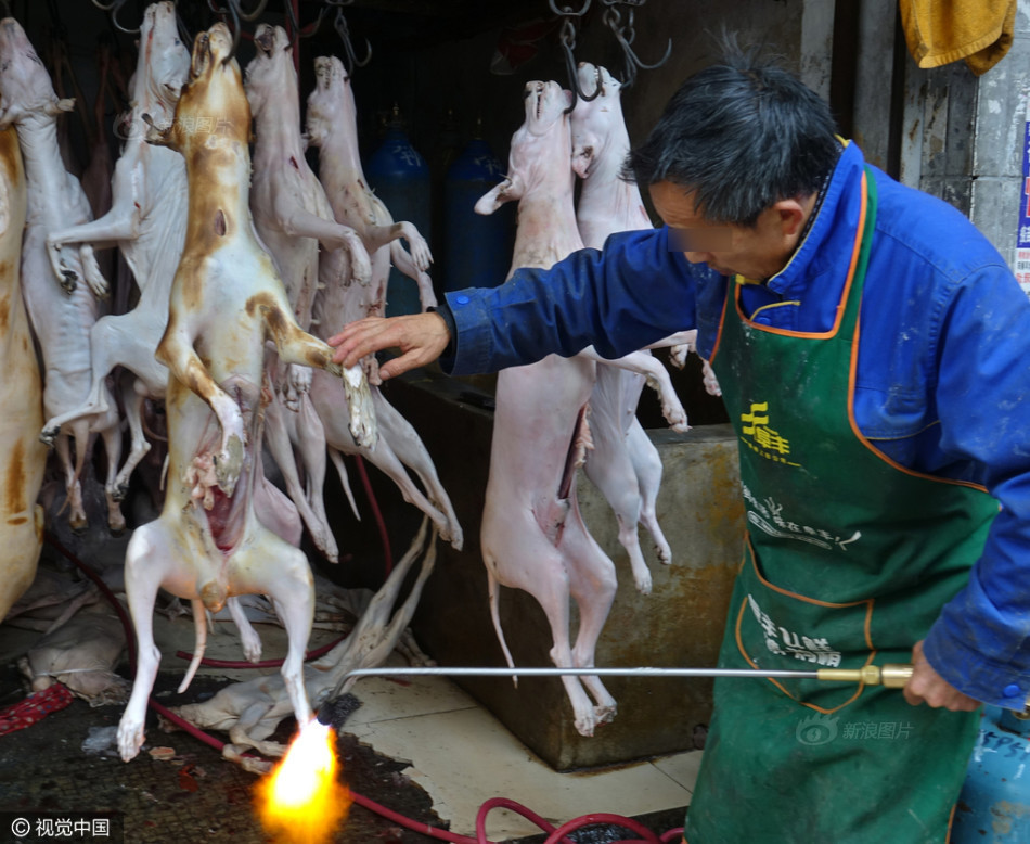 冬至来临 贵阳狗肉摊档生意好