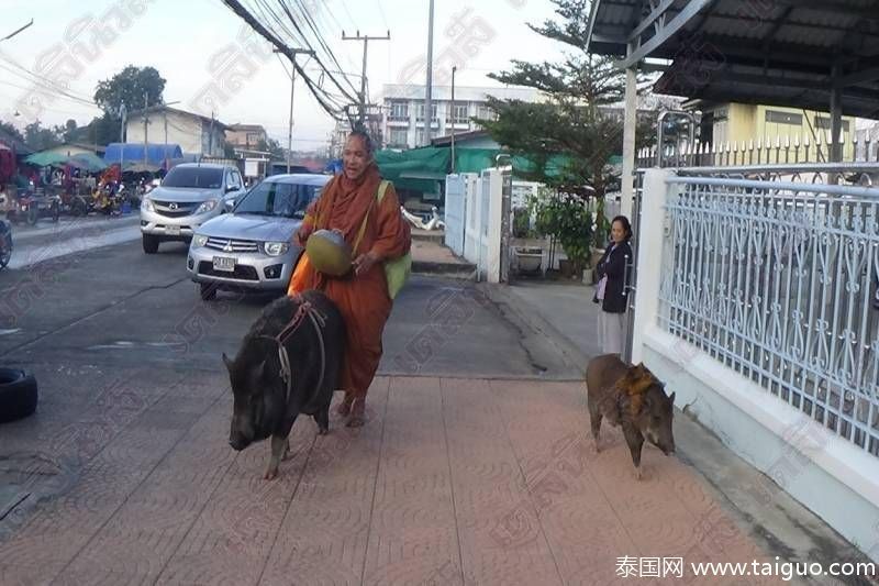 性欧美