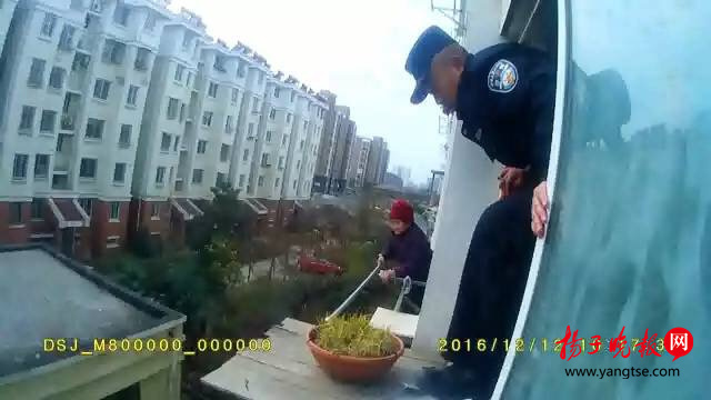 浪花直播