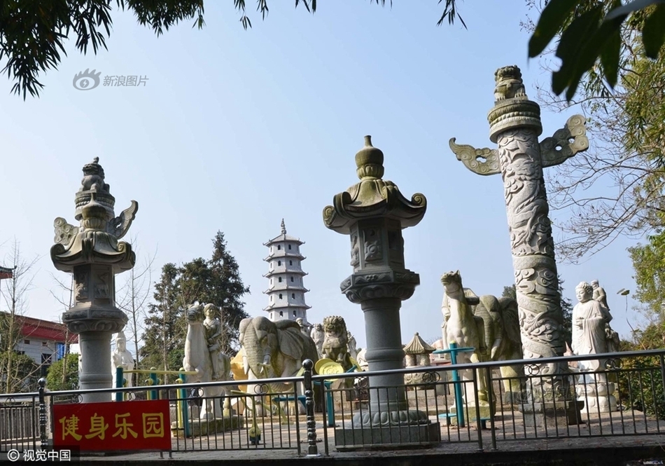 草莓视频成人版