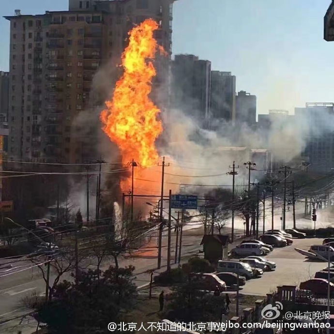 小黄网网站在线观看
