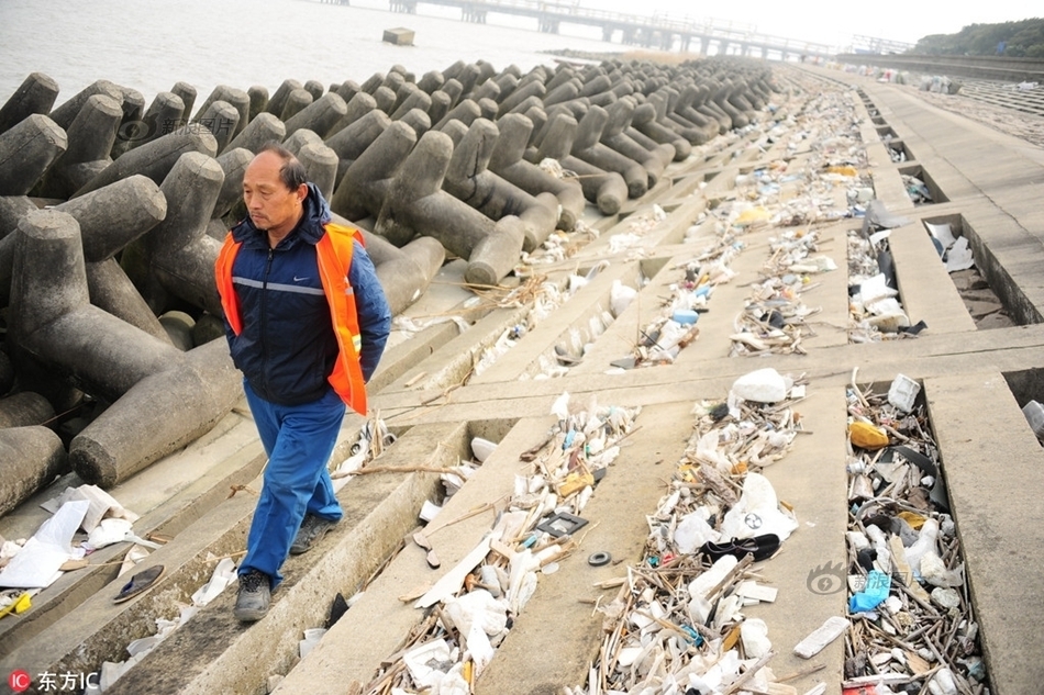 黄色网站浏览免费