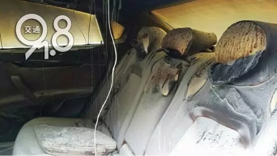 我丰满的岳 v66Av