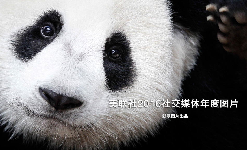 黄色片伦理免费完整版在线