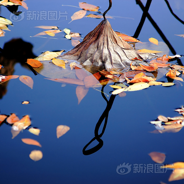 久久亚洲精华国产精华精华液