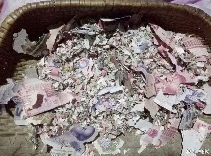 黄色一级大片