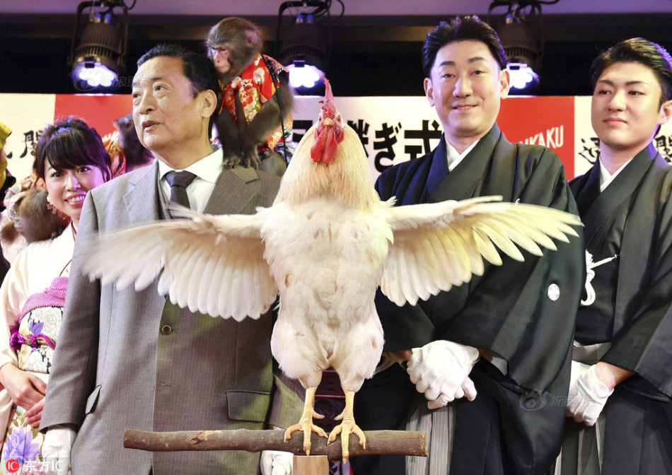 被夫の上司に犯波多野结衣