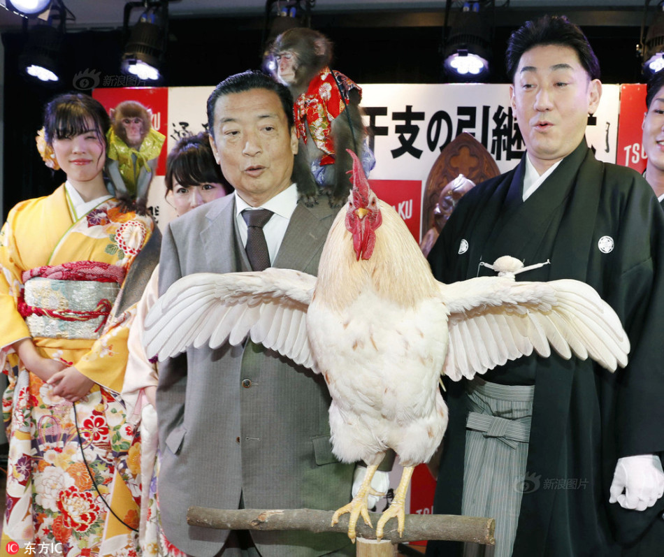 91网址