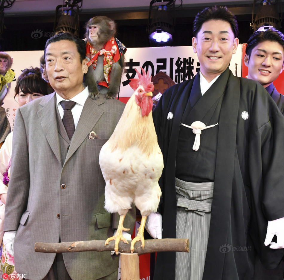 欧美性爱网址