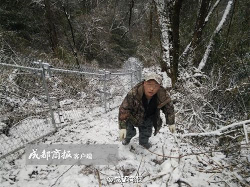 91免费网站