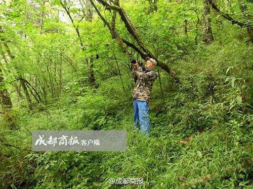 免费AV观看