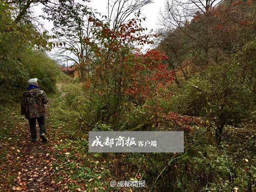 炭治郎甘露寺温泉繁殖