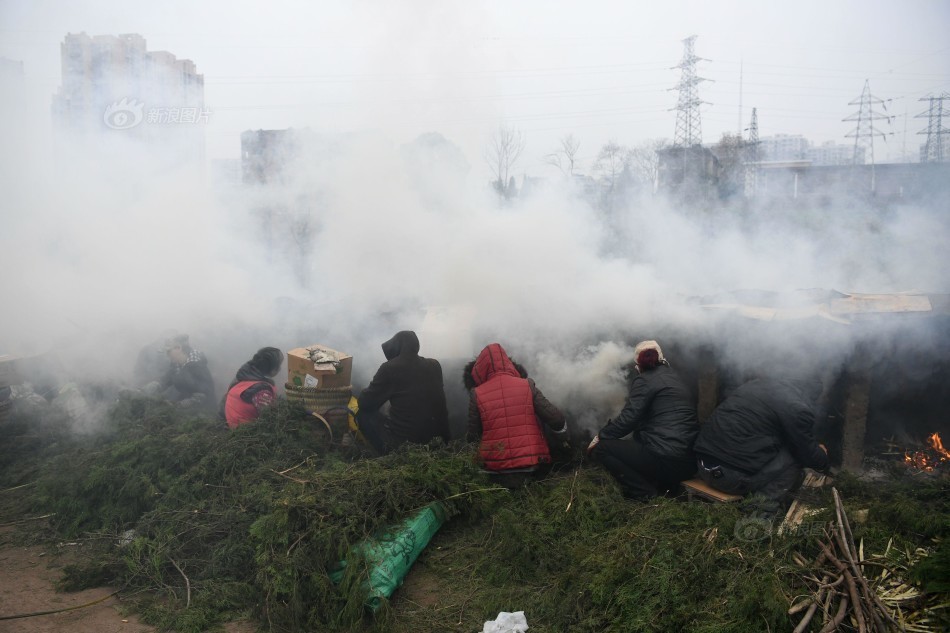成人A片产无码免费视频奶头麻豆