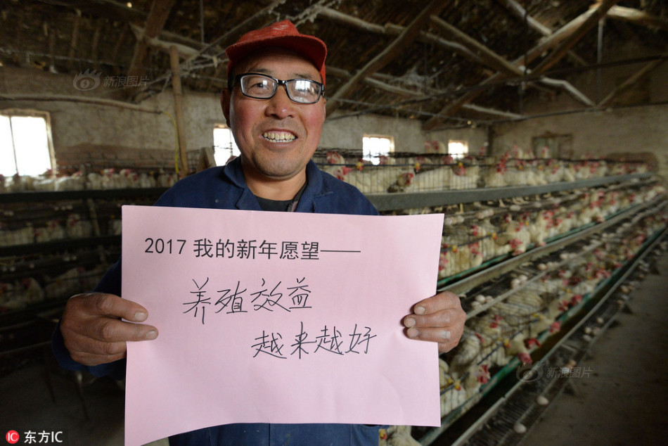 打开就看的黄色网站