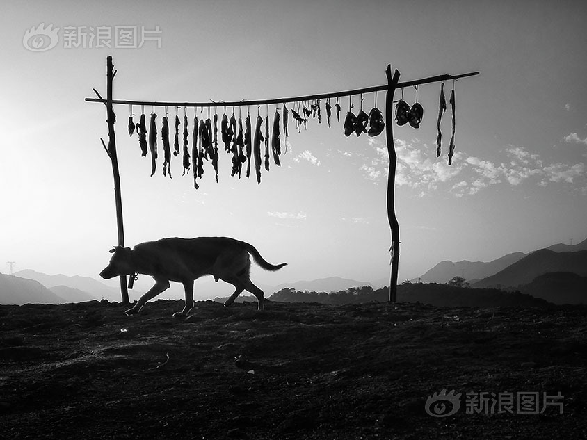 91丨九色丨白浆秘