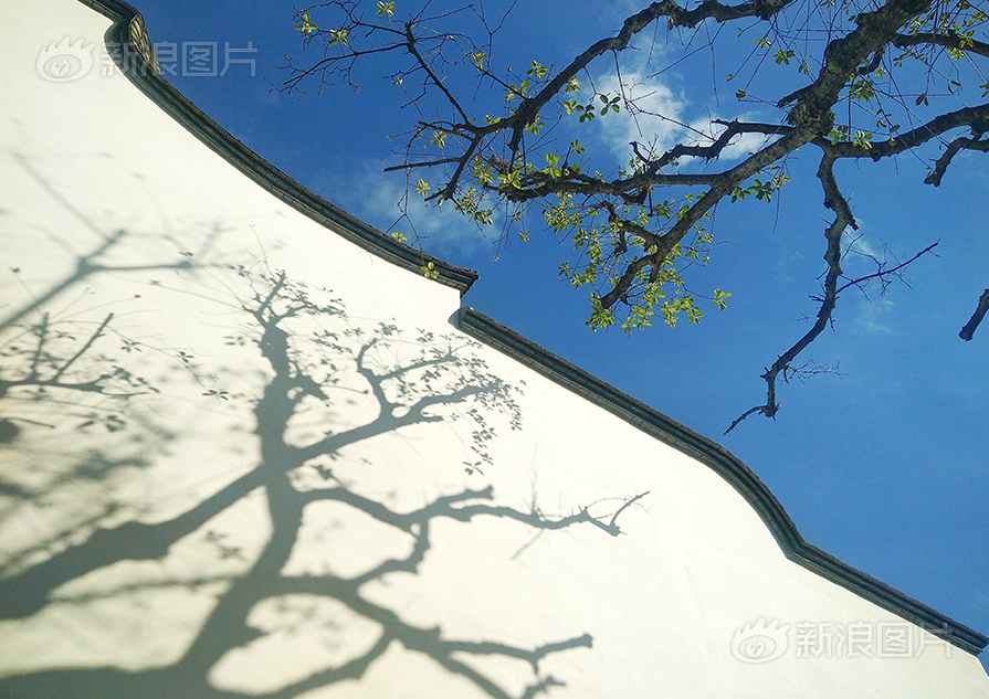 无码十免费