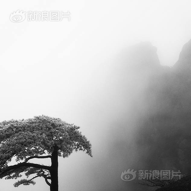 播放全黄网站