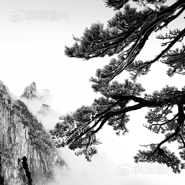 又白又肥老妇人XXX