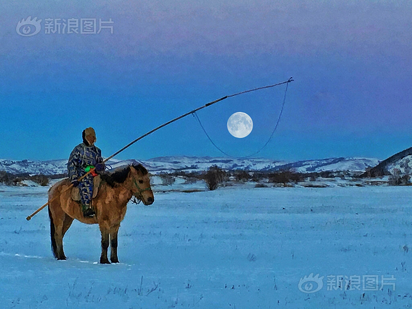 免费的黄色视频