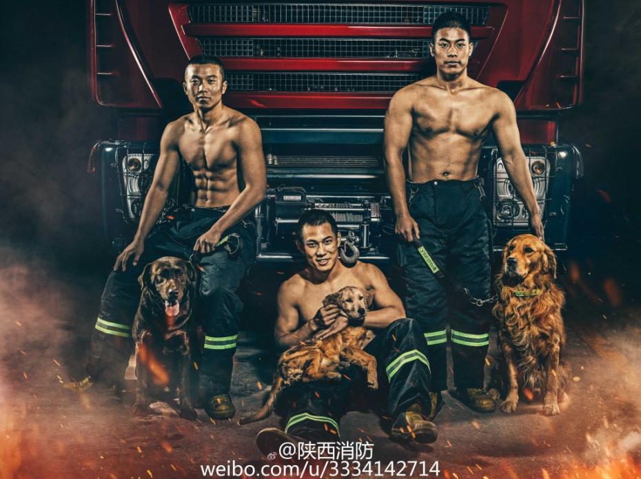 黄色网站电视在线观看