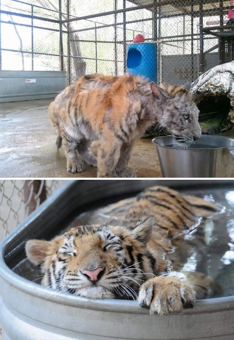 色戒伦理视