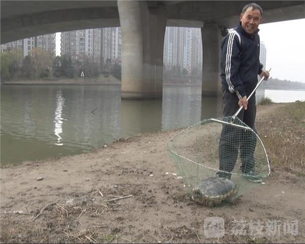欧美人与禽ZoZ0善交