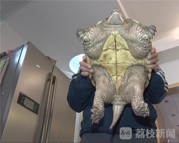成人羞羞 国产男人和美女作爱