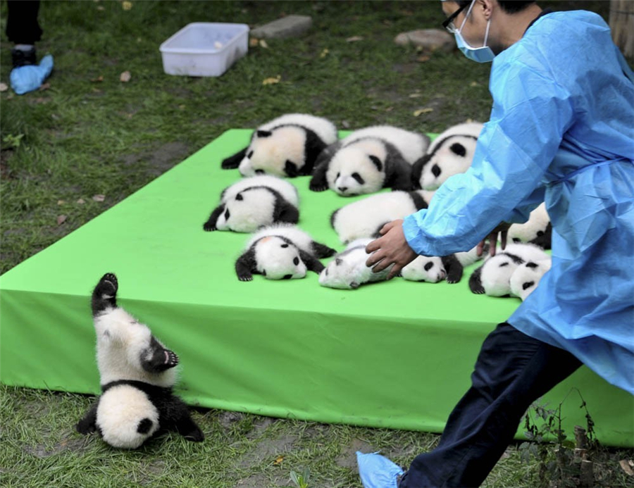阴道按摩