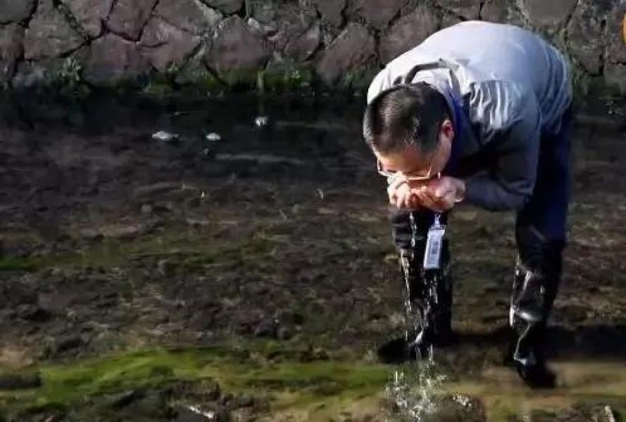 黄色网站欧美的免费看