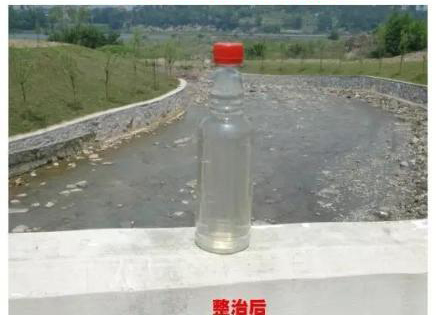 成人 电影 动漫