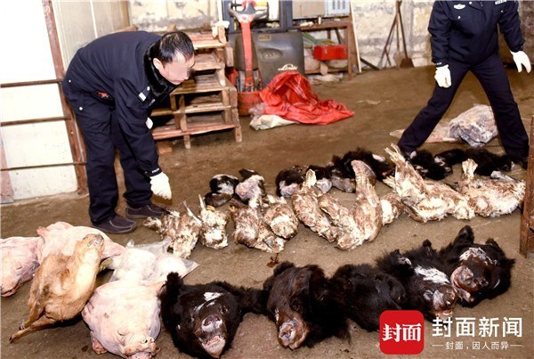 精品一区二区明星换脸刘亦菲写真