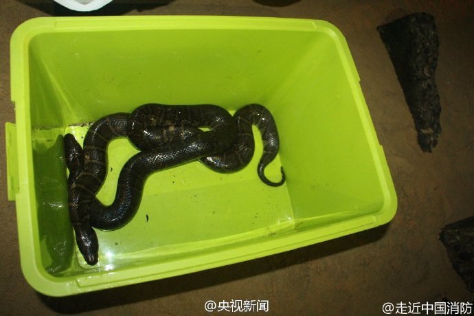 久久午夜影院