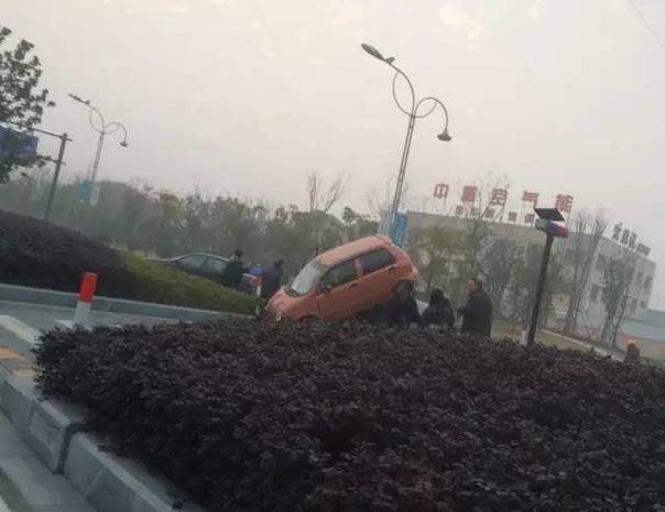 永久黄色网三级片