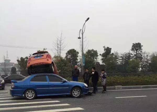 无码动漫小黄片
