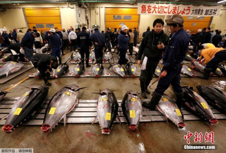 adc影视年龄确认实名认证欢迎大驾光临芒果