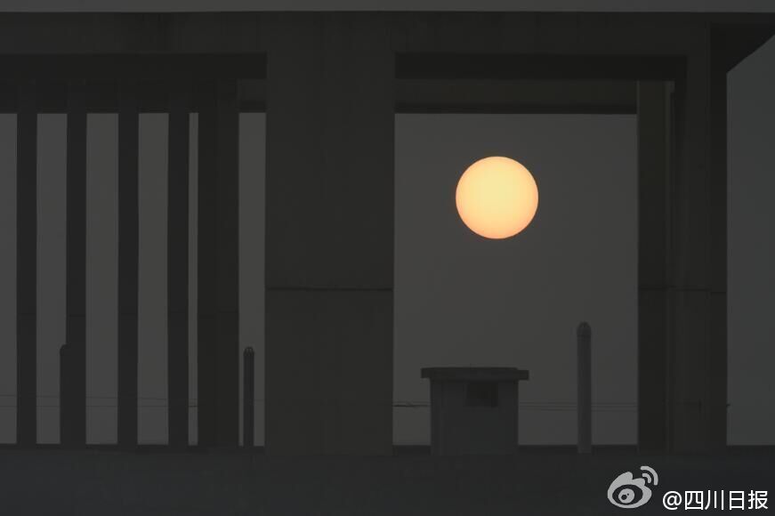 成人 黄色 网