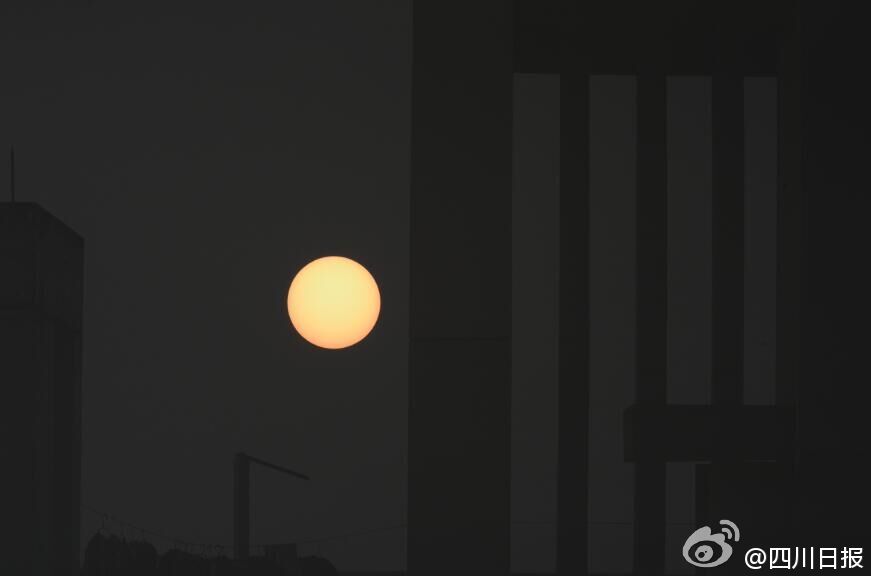 成人 影视 网
