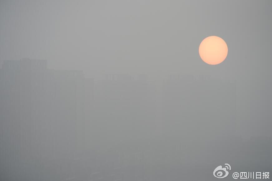 亚洲精品自拍偷拍