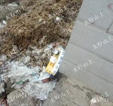 色情 直播 在线 看