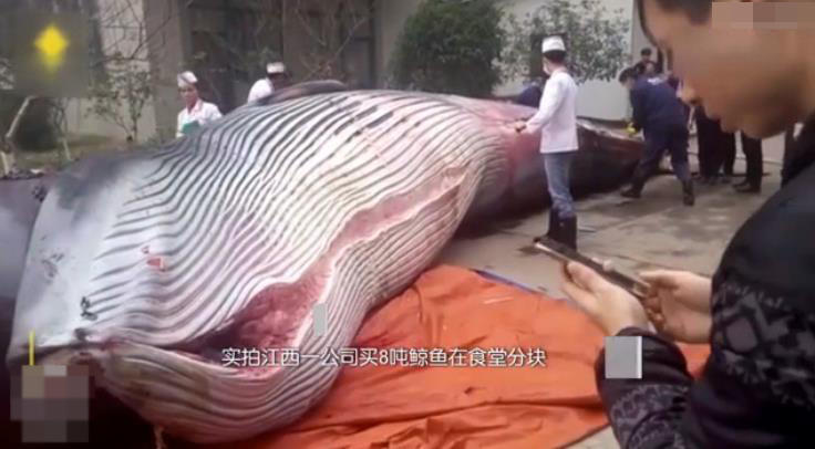 伊人91