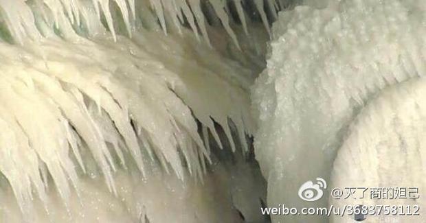 黄色视频不用下载的