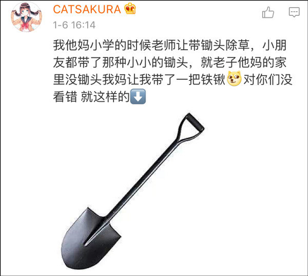妓女戶
