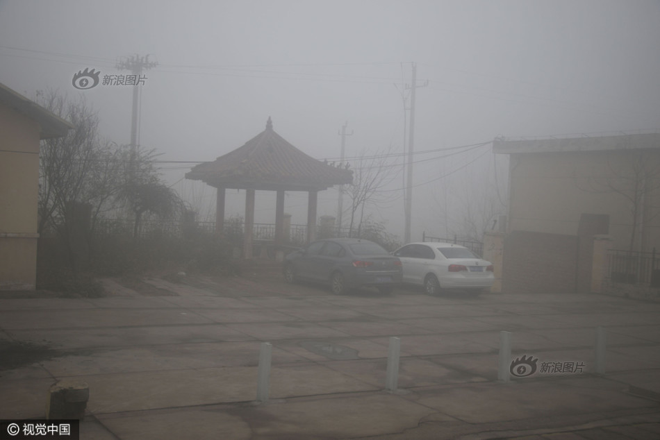 永久免费黄视频
