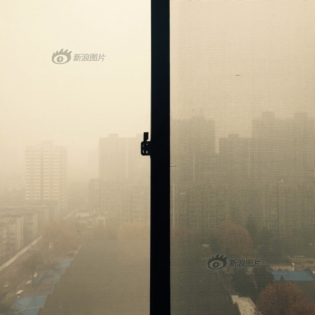 免费看一级高潮毛片