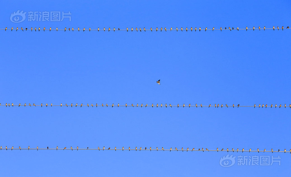 白丝校花自慰