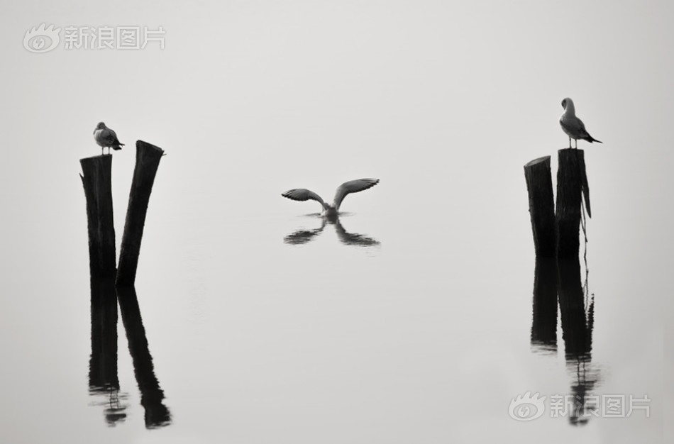 干高潮了
