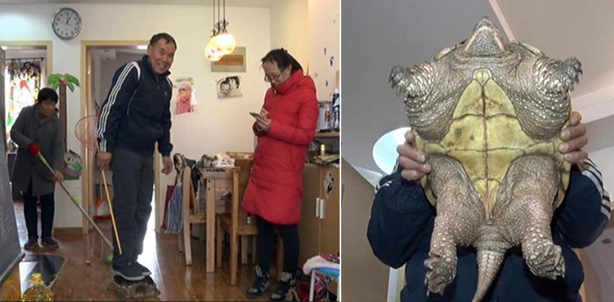 免费曰老熟视屏