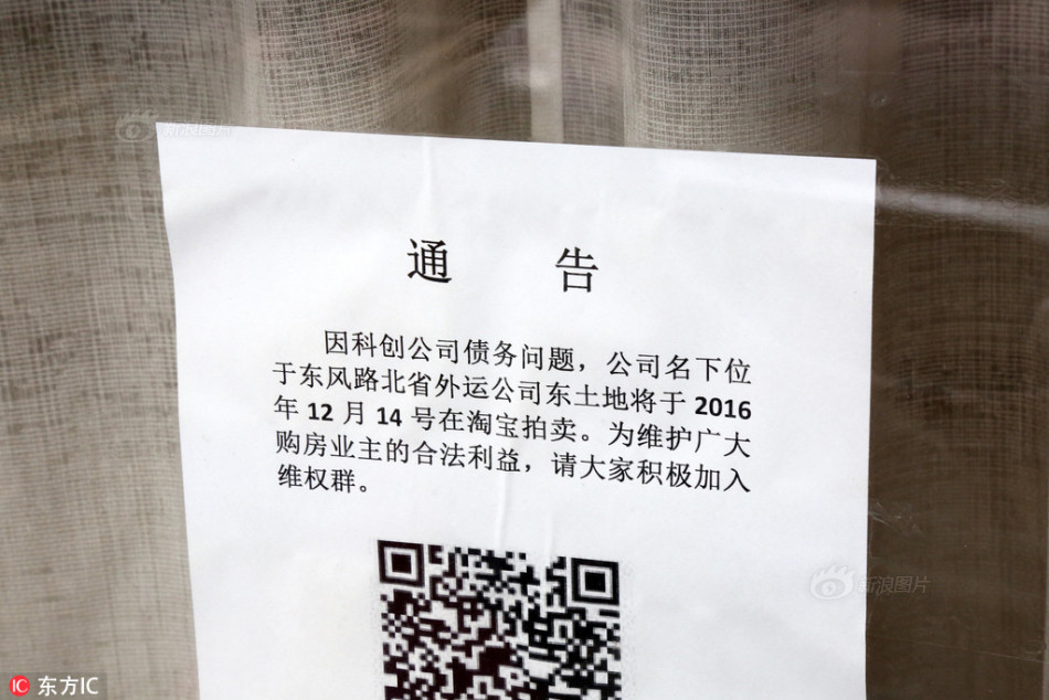 AA黄片