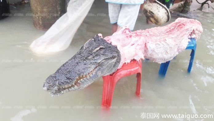 做爱 成人 电影